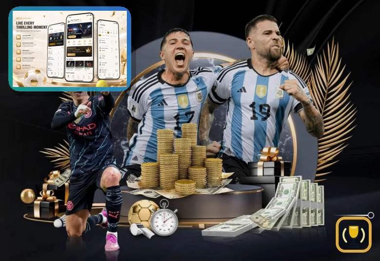 B体育高端会员服务体验